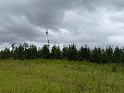 Property for sale in Pickens County, Alabama