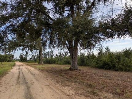 Undeveloped Land for sale in Madison County, Florida