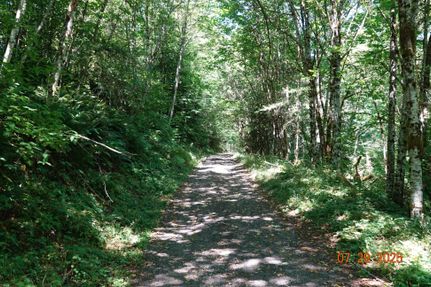 Undeveloped Land for sale in Skamania County, Washington