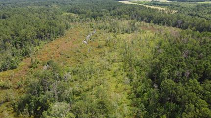 Property for sale in Allen Parish, Louisiana