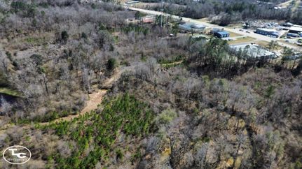 Property for sale in Choctaw County, Alabama
