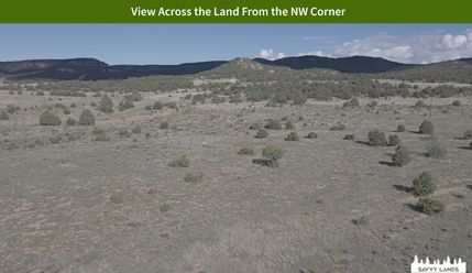 Property for sale in Catron County, New Mexico