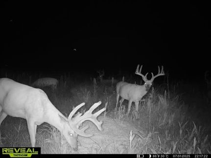 Property in Harper County, Kansas