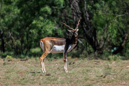 Property for sale in Tom Green County, Texas