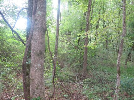 Property in Jasper County, Mississippi