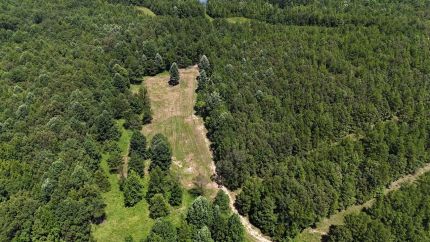 Property for sale in McNairy County, Tennessee