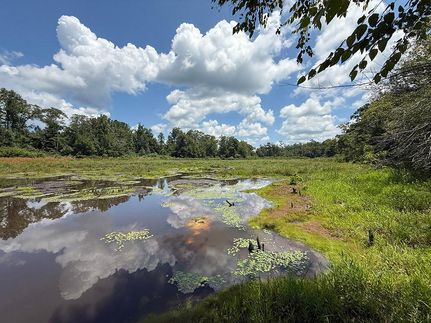 Property for sale in Webster County, Georgia