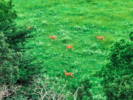 Lakefront Property for sale in Hopkins County, Texas