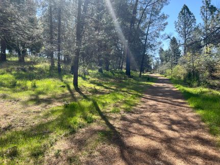 Property for sale in Nevada County, California