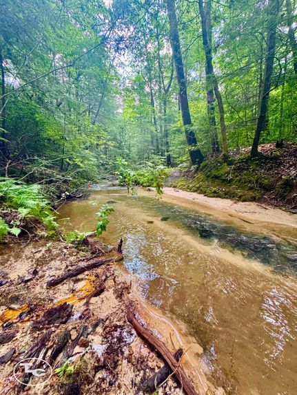 Recreational Property for sale in Winston County, Alabama