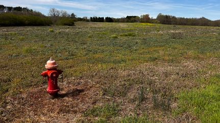 Farm Property for sale in Wilkes County, North Carolina