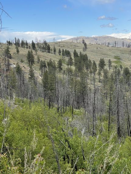 Undeveloped Land for sale in Okanogan County, Washington