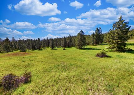 Property for sale in Lincoln County, Washington