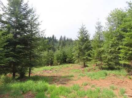 Residential Property for sale in Cowlitz County, Washington