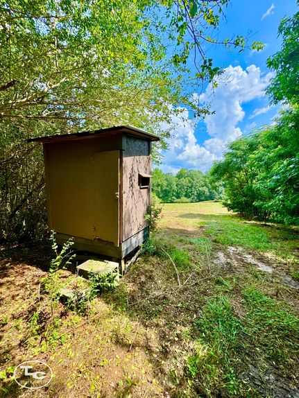 Property for sale in Winston County, Alabama