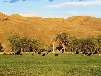 Property for sale in Chouteau County, Montana