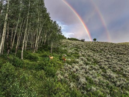 Property in Gunnison County, Colorado