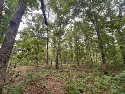 Recreational Property for sale in Shannon County, Missouri