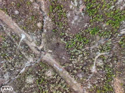 Property for sale in Scott County, Mississippi