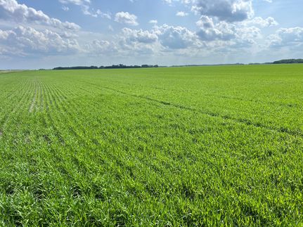 Property for sale in Pennington County, Minnesota