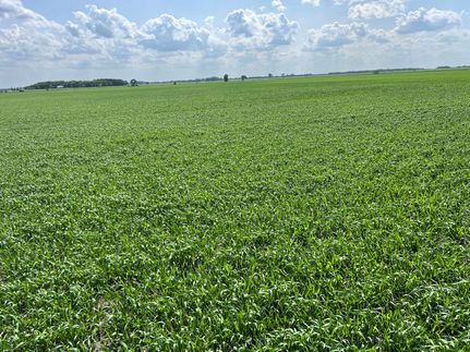 Property for sale in Pennington County, Minnesota