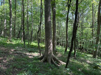 Property for sale in Warren County, Pennsylvania