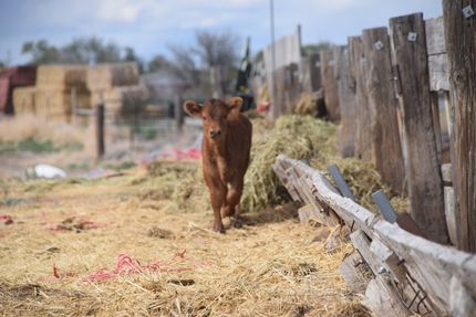 Riverfront Property for sale in Millard County, Utah