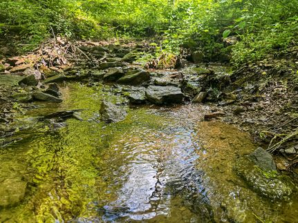 Property for sale in Monongalia County, West Virginia