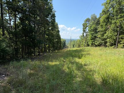 Undeveloped Land for sale in Carroll County, Arkansas