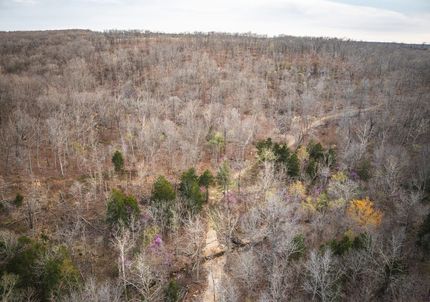 Property for sale in Iron County, Missouri