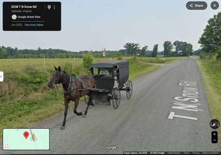 Hunting Land for sale in Halifax County, Virginia