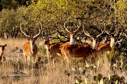 Property for sale in Menard County, Texas