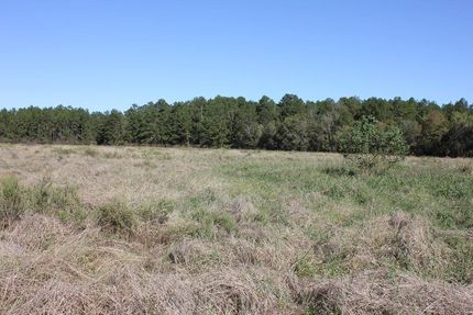 Undeveloped Land for sale in Polk County, Texas