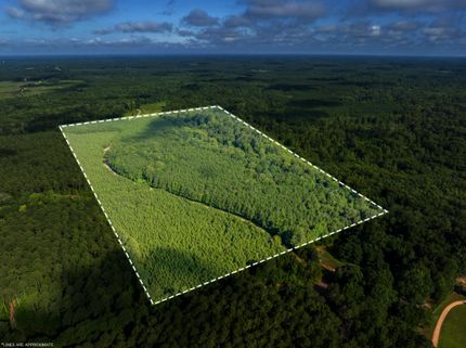 Property for sale in Union Parish, Louisiana