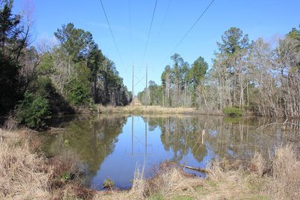 Hunting Land for sale in Polk County, Texas
