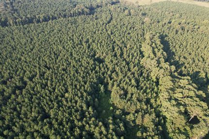 Property for sale in Bradley County, Arkansas