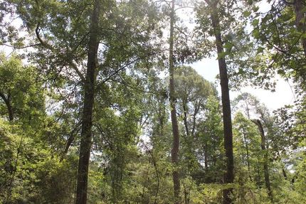 Property for sale in Polk County, Texas