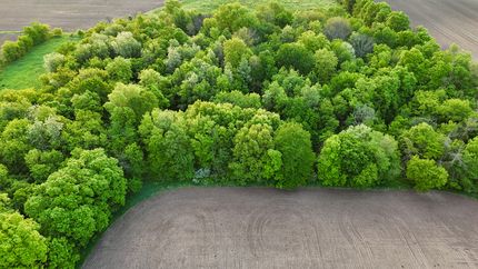 Property in Waushara County, Wisconsin