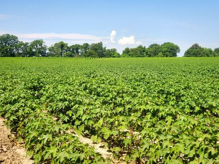 Ranch Property for sale in Coahoma County, Mississippi