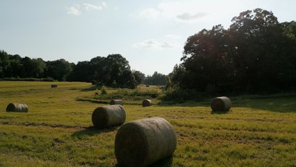 Property for sale in Crockett County, Tennessee