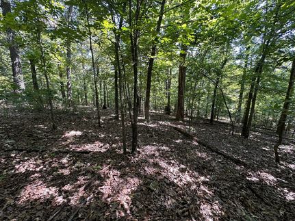 Hunting Land for sale in Sharp County, Arkansas