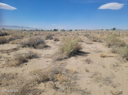 Undeveloped Land for sale in Lyon County, Nevada