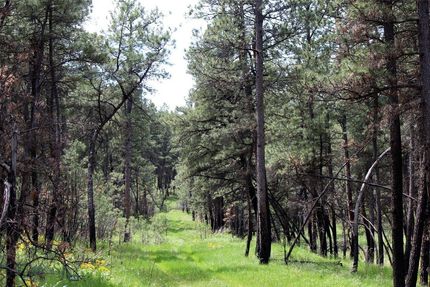 Undeveloped Land for sale in Musselshell County, Montana