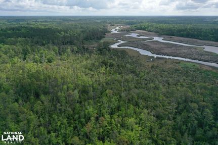 Timberland Property for sale in Pamlico County, North Carolina