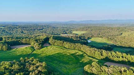 Property for sale in Morgan County, Tennessee