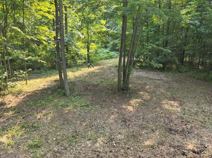 Undeveloped Land for sale in Oakland County, Michigan