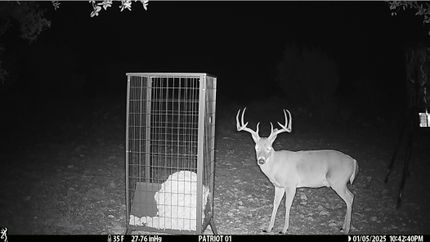 Property for sale in Schleicher County, Texas