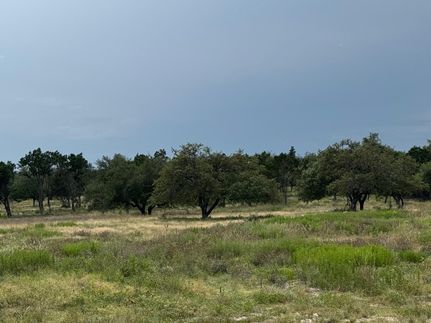 Undeveloped Land for sale in Hays County, Texas