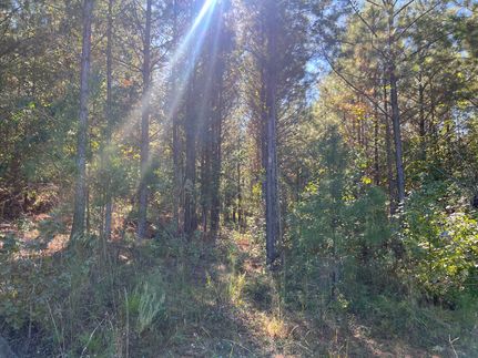 Property for sale in Upson County, Georgia