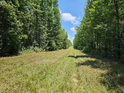 Timberland Property for sale in Webster Parish, Louisiana